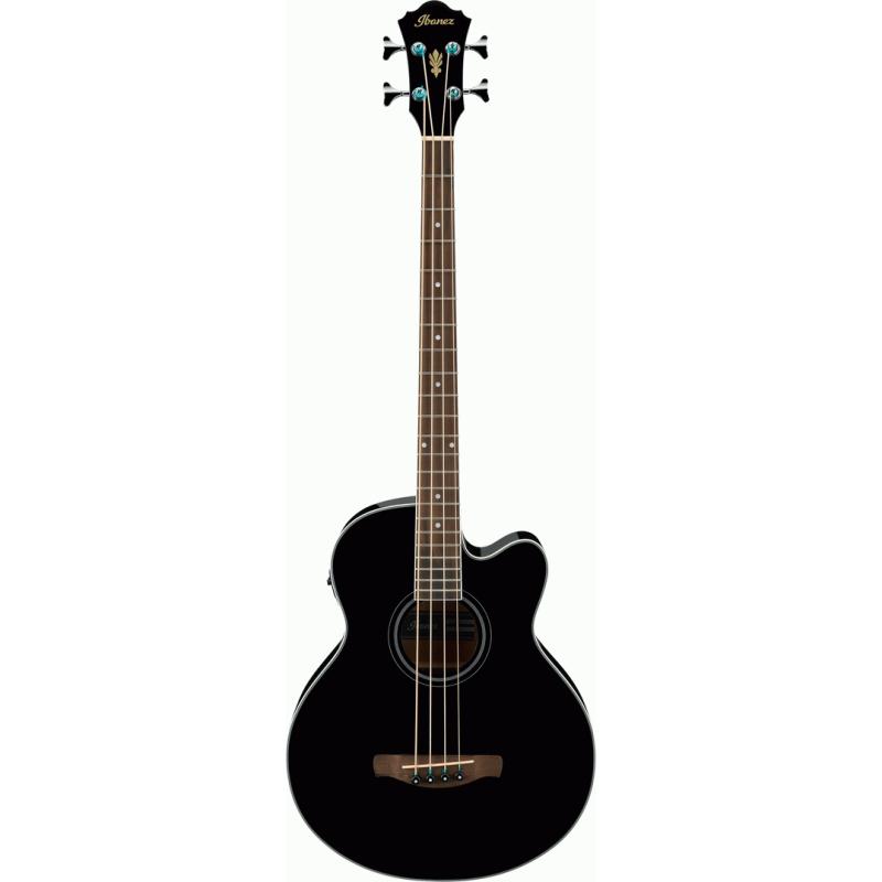 Ibanez Electric/Acoustic Bass Guitar