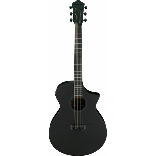 Ibanez BOT Electric/Acoustic Guitar