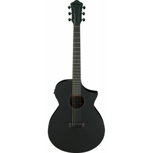 Ibanez BOT Electric/Acoustic Guitar