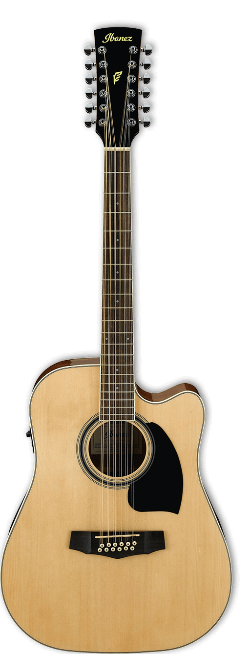 Ibanez PF 12 String Electric Acoustic Guitar Pakenham Music