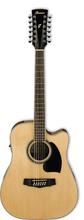 Ibanez PF 12 String Electric/Acoustic Guitar