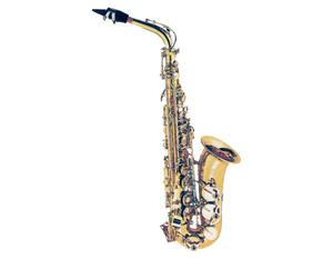 Fontaine Alto Saxophone (Eb) w/Case