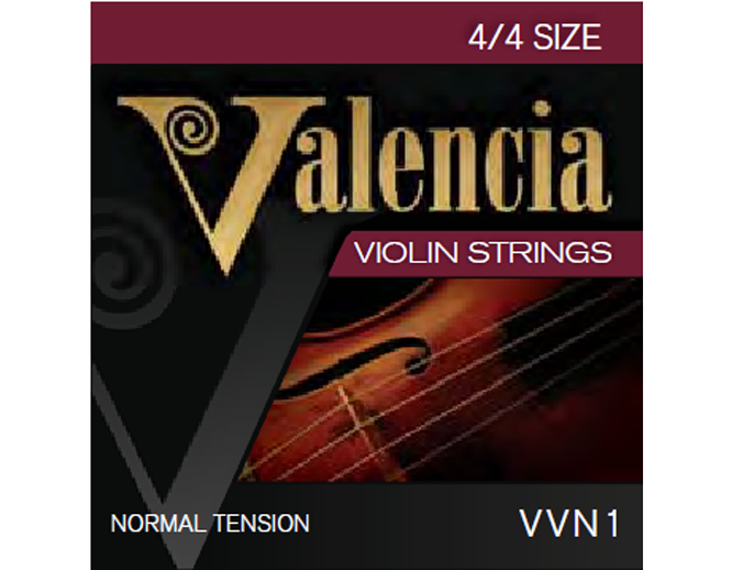Valencia Violin Strings Set