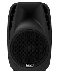 Laney 400 watt 12" P.A Speaker