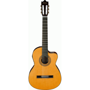 Ibanez Classical Electric/Acoustic Guitar