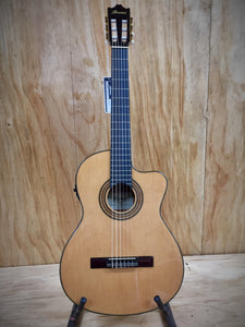 Ibanez Classical Electric/Acoustic Guitar